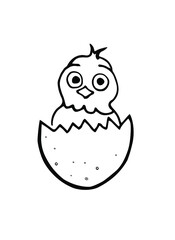 Fototapeta premium A small chicken in a shell. Vector illustration drawn by hand. It can be used in the design of postcards, advertising products, products, book illustrations.