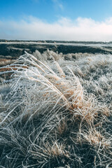 The cold winter morning