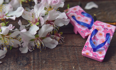 Almond Flowers and Japanese Sandals