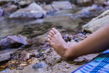  Childhood Adventure Forest Stream summer day in nature