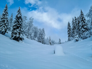 Mountain path covered in snow, sunny day