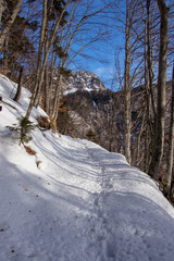 Mountain path in the Bohinj valley