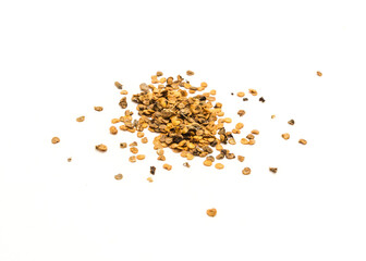 Pile of eggplant or aubergine seeds in plastic container isolated on white background