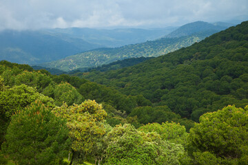 Parque Natural Sierra de Andújar, Jaen, Andalucía, España