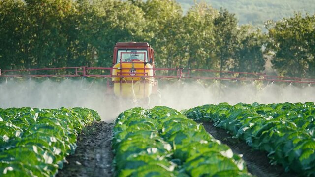 Tractor Spraying of Pesticides and Insecticides on an Agricultural Field. Tractor-towed Sprayer. Weed Fumigation with Insecticides. Industrial Chemical Agriculture. Agribusiness.