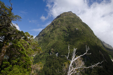 Fototapeta na wymiar Mount in Fiordland National Park. Southland. South Island. New Zealand.