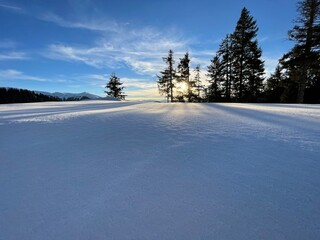 untouched snow landscape