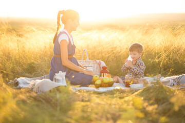 Little cute boy son and his beautiful pregnant mom at picnic