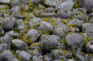 Stones and mosses in Milford. Fiordland National Park. Southland. South Island. New Zealand.