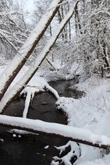 a stream in a winter snow-covered forest in the afternoon outside the city