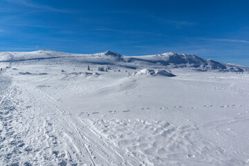 Winter view of Platoto region at Vitosha Mountain, Bulgaria