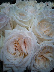 White roses tender bouquet close-up