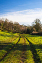 Fields and Meadows of Conqueror Wood, Torquay, Devon in England in Europe