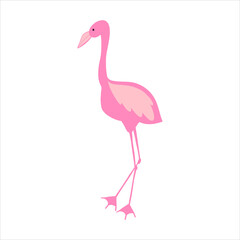 Pink flamingo doodle vector. Hand drawn stock illustration. Isolated on white background. Cartoon children's theme