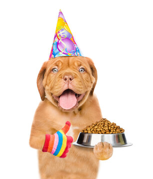 Hungry puppy with open mouth wearing a party cap holds  bowl of dry dog food and shows thumbs up gesture. isolated on white background