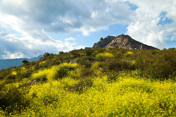 Fototapeta premium La Pedriza, Parque Regional Cuenca Alta del Manzanares, Madrid