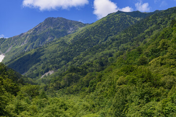 Fototapeta na wymiar 広河原から見た北岳