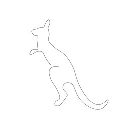 Kangaroo animal on white background, vector illustration