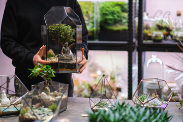 female holds glass florarium vase with succulent plants Small garden with miniature plants. Home indoor plants. DIY florarium. Colorful plants growing in glass geometric