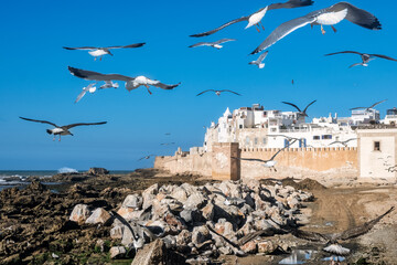 At The Port Of Essaouira, Morocco.