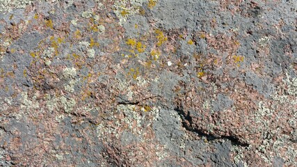 stone wall texture with lichen