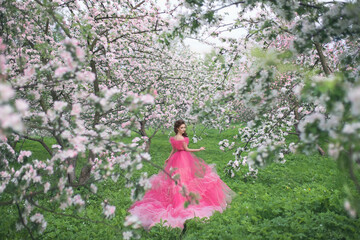 A beautiful young girl with long hair in a light pink ball gown walks through a blooming apple...
