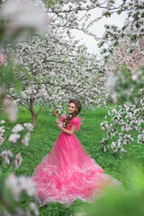 Fototapeta na wymiar A beautiful young girl with long hair in a light pink ball gown walks through a blooming apple orchard