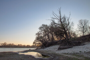 Bare trees on the riverbank. A bleak autumn landscape