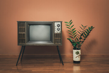 Retro old TV stands on wooden floor in the vintage room with flower pots. Antique television wooden...