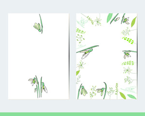Greeting cards with floral elements and decoration. Decor with snowdrops