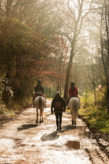 Naklejka premium young woman in horse riding