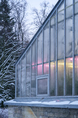 Light full spectrum phyto light lamps for plants growth in the winter time in the greenhouse. Exterior glasshouse in cold season. Artificial lighting of plants in short daylight conditions