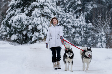 Girl walking with siberian husky in winter forest and park, animals and ecology