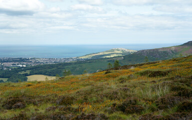 Fototapeta na wymiar Landscapes of Ireland. View from the foot of the Great Sugar Loaf Mountain.