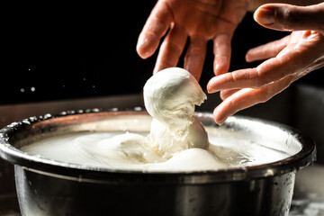 The homemade cheese maker produces handmade mozzarella with fresh bio milk. process of making...