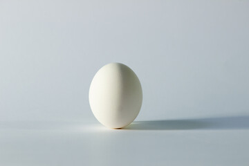 white egg on a white background. creative idea. equilibrium and balance concept.