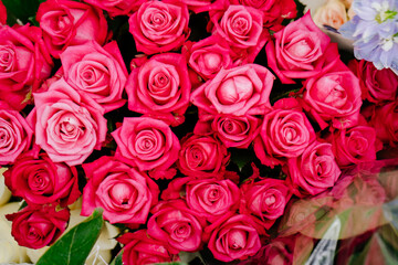 Obraz na płótnie Canvas bright roses in a bouquet. Flowers are a traditional beautiful gift