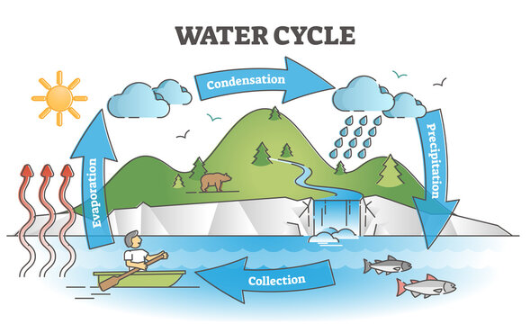 Draw a neat and labelled diagram of water cycle in nature.