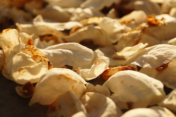 the leaves of flowers