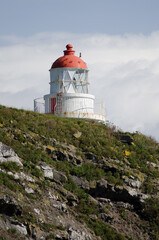 Fototapeta na wymiar Lighthouse in Taiaroa Head Wildlife Reserve. Otago Peninsula. Otago. South Island. New Zealand.