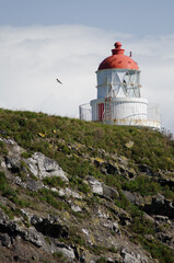 Lighthouse in Taiaroa Head Wildlife Reserve. Otago Peninsula. Otago. South Island. New Zealand.