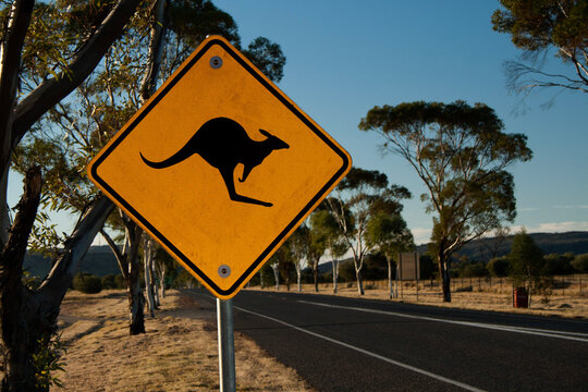 kangaroo road sign