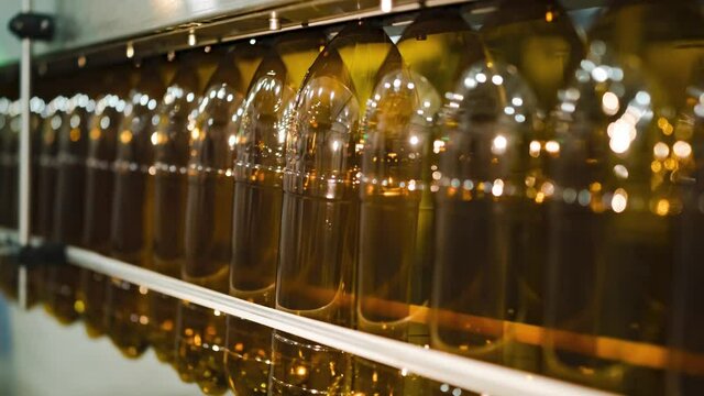 Empty brown plastic bottles for tasty beer transported by automatic production line in brewery workshop closeup timelapse