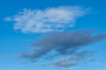 Naklejka na ściany i meble White and gray cloud in a blue summer sky