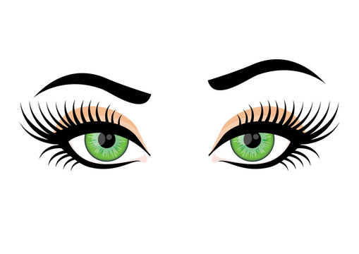 Sensual female eyes icon vector. Beautiful green female eyes icon vector. Attractive female eyes with long lashes clip art