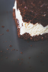 Close up of a slice of tasty brown cake on a gray plate