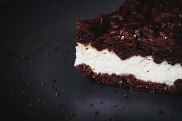 Close up of a slice of tasty brown cake on a gray plate. Horizontal photo