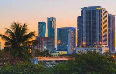 Fototapeta premium country skyline at sunrise miami buildings midtown palms views apartments city sky beautiful cute
