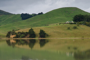Fototapeta na wymiar Landscape in Hoopers Inlet. Otago Peninsula. Otago. South Island. New Zealand.