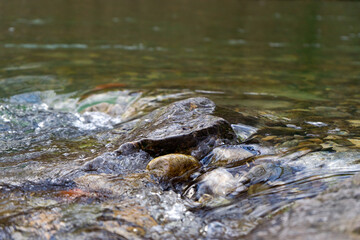 small rock river stream forrest wet rock8